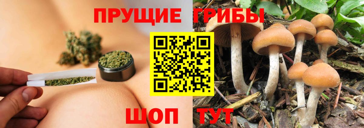 Артём  хочу наркоту  Галлюциногенные грибы Magic Shrooms  Вход с VPN  Псилоцибиновые грибы Magic Shrooms 