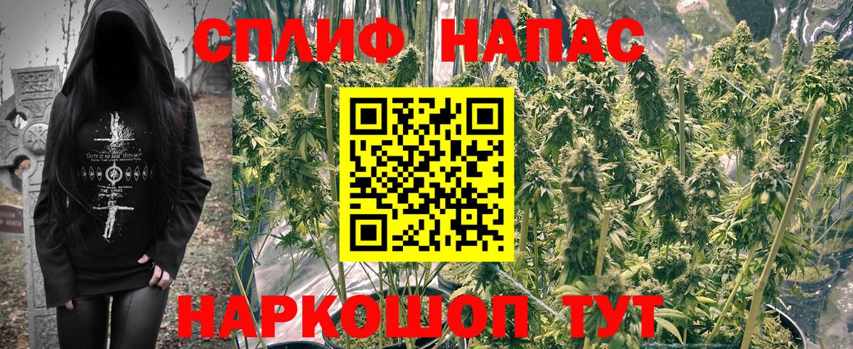 Артём  Шишки марихуана марихуана  МАРИХУАНА AK-47  Бошки Шишки Bruce Banner  Вход с VPN  Каннабис индика 